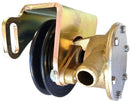 Sea Water Pump P/N 128990-42511