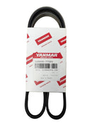 ALTERNATOR BELT P/N 128990-77580