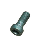 Cyl Screw P/N 06.02109.0067