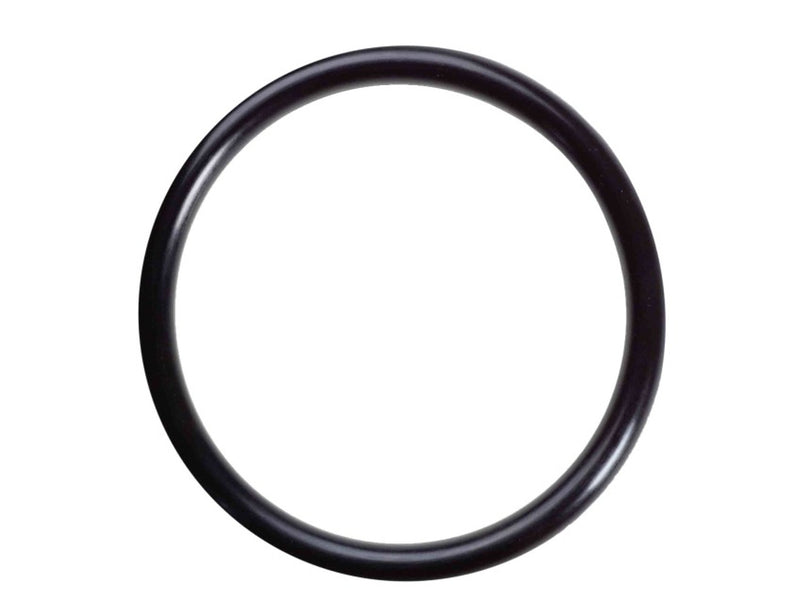 ORING P/N 24341-000125