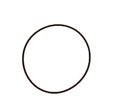 ORING P/N 24341-000600